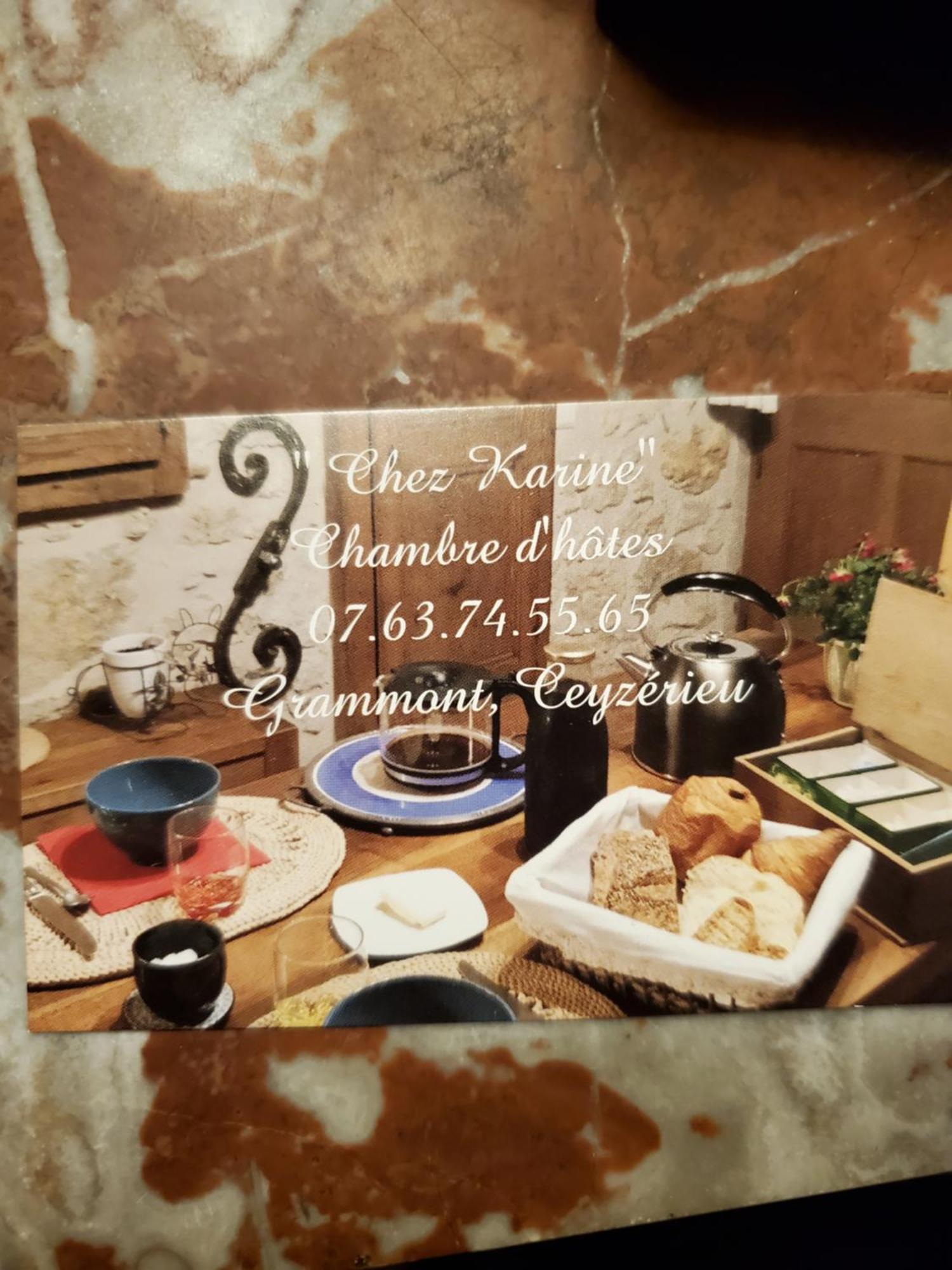 Chez Karine Bed & Breakfast Ceyzerieu Eksteriør bilde
